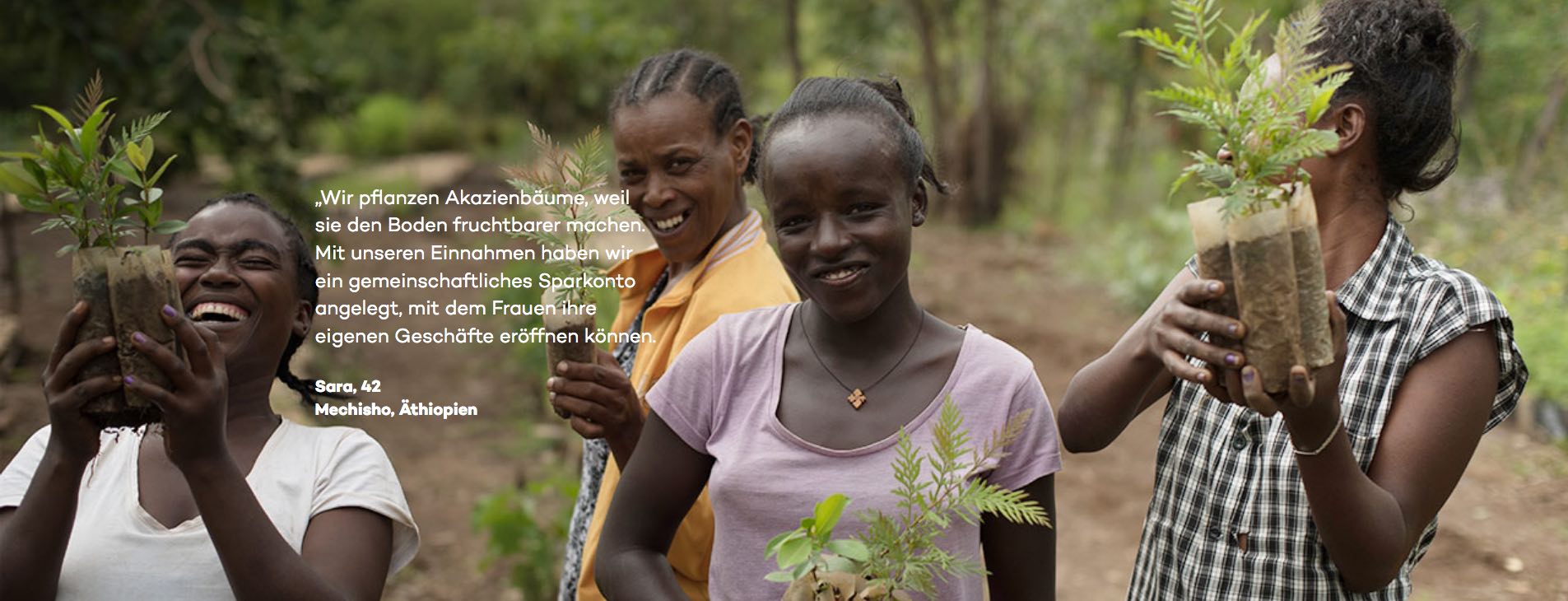 ECOSIA – Die Suchmaschine, die Bäume pflanzt.