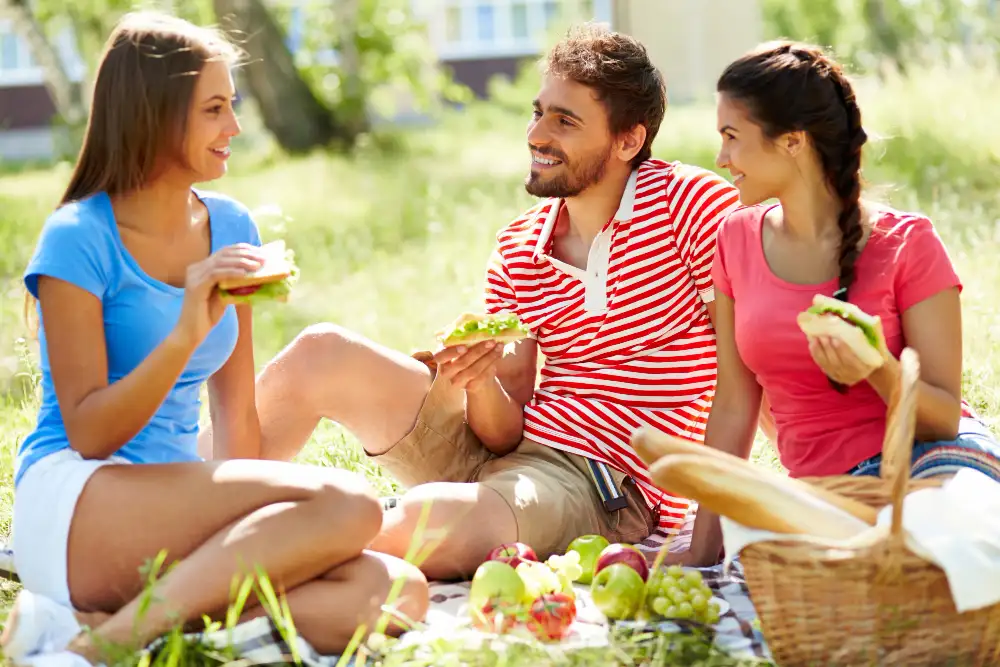 Junge Leute beim Picknick im Park (Wenn dieses Bild nicht angezeigt wird, ist ihr Browser veraltet)